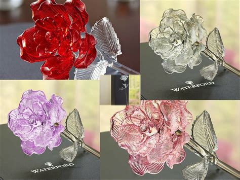 waterford fleurology glass flower rose.